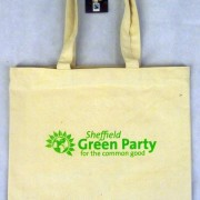 Green_Party_Bag